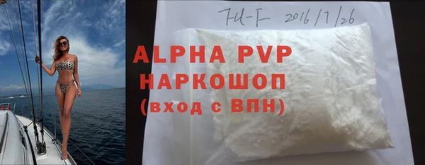 прущие грибы Чердынь