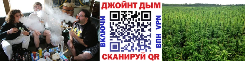 Конопля SATIVA & INDICA  купить наркотики цена  Шлиссельбург 